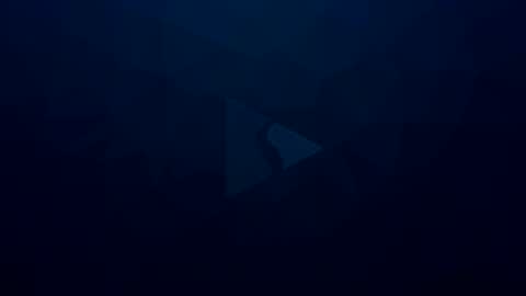 Apolo online show from January 2025 04:11:02 PM