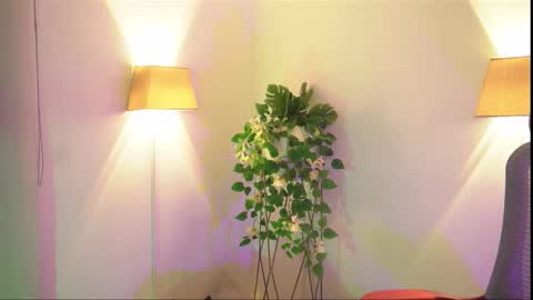 insta appolo master online show from November 2025 04:02:02 AM