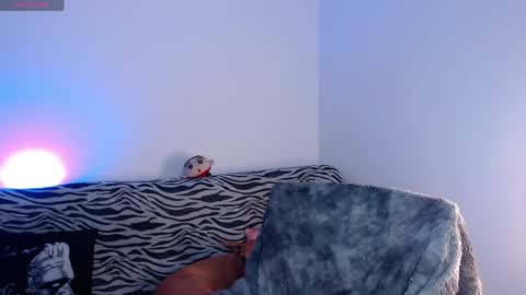 Arabella online show from April 2026 05:54:01 AM