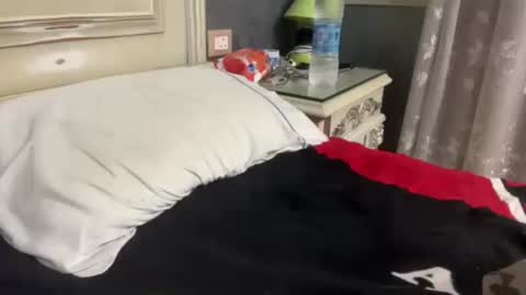 Snapshot of arabman991 chatting on January 2025 01:05:02 AM Egyptian Man online show from January 2025 01:05:02 AM