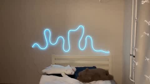 Emi online show from February 2026 04:32:01 PM