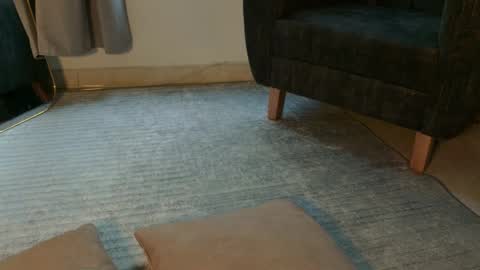 Aram - Next stream 28-01 online show from March 2026 11:37:01 AM