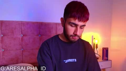 Snapshot of ares_alpha chatting on September 2025 01:16:01 PM Ares Alpha online show from September 2025 01:16:01 PM