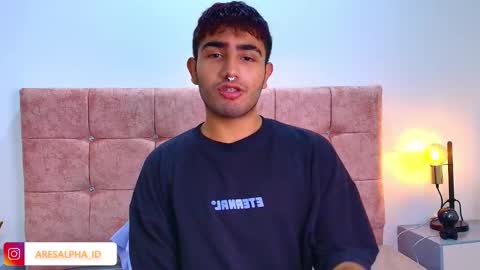 Snapshot of ares_alpha chatting on October 2025 08:07:02 PM Ares Alpha online show from October 2025 08:07:02 PM