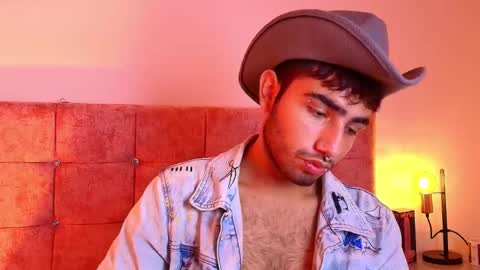 Snapshot of ares_alpha chatting on October 2025 07:49:02 PM Ares Alpha online show from October 2025 07:49:02 PM