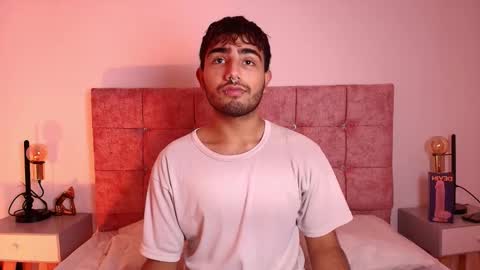 Snapshot of ares_alpha chatting on October 2025 06:56:01 PM Ares Alpha online show from October 2025 06:56:01 PM