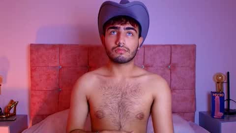 Snapshot of ares_alpha chatting on October 2025 07:05:02 PM Ares Alpha online show from October 2025 07:05:02 PM