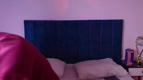 Snapshot of ares_alpha chatting on November 2025 06:42:02 PM Ares Alpha online show from November 2025 06:42:02 PM