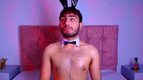 Snapshot of ares_alpha chatting on November 2025 07:04:02 PM Ares Alpha online show from November 2025 07:04:02 PM