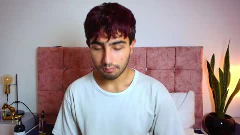 Snapshot of ares_alpha chatting on November 2025 06:33:02 PM Ares Alpha online show from November 2025 06:33:02 PM