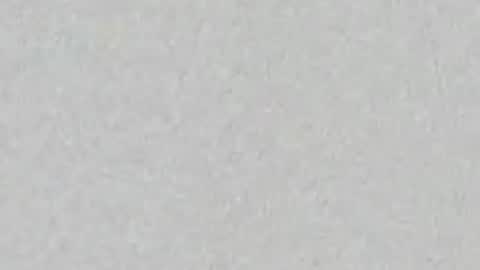 Ari online show from June 2026 11:37:02 AM