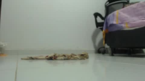 ...Ariana... online show from January 2025 06:18:01 PM