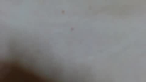 Ariana lvarez online show from February 2025 04:15:02 AM