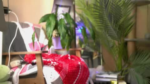 Olivka online show from April 2026 09:35:02 AM