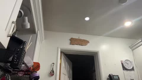 Snapshot of ariawestlove chatting on January 2025 03:51:02 AM Aria online show from January 2025 03:51:02 AM