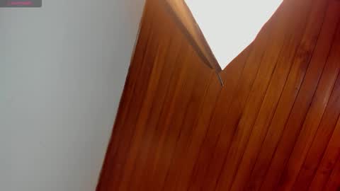 Arigy  Everyday From 1430 to 2130 Col Time online show from January 2026 11:36:02 AM