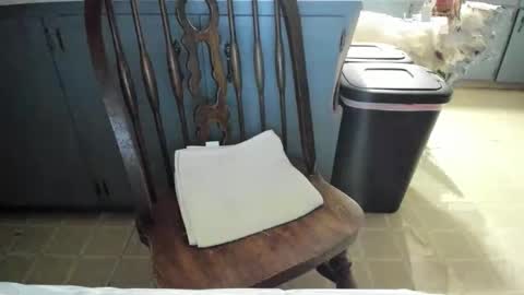 armalite16 online show from November 2025 06:23:01 AM