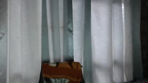 ARMANDO online show from November 2025 06:50:01 PM