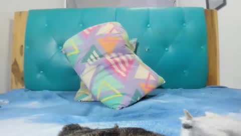 Snapshot of armanidark chatting on September 2025 02:11:01 AM armanidark online show from September 2025 02:11:01 AM