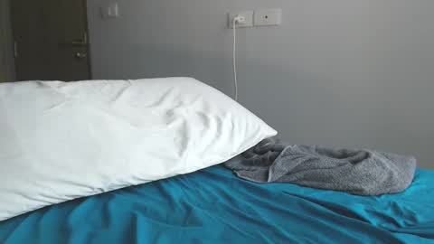 Arni online show from February 2025 04:10:01 AM