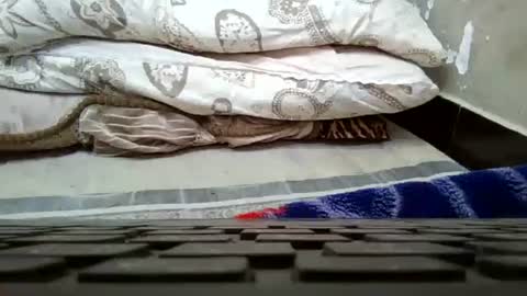 art_max99xxx online show from January 2025 01:16:02 AM