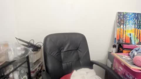 Snapshot of artsyandcraftsy_ chatting on February 2026 11:19:01 PM MIA online show from February 2026 11:19:01 PM