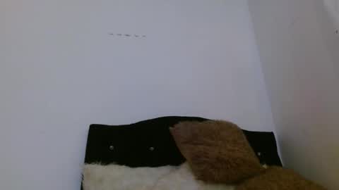 ASHLEY online show from April 2026 02:25:02 PM