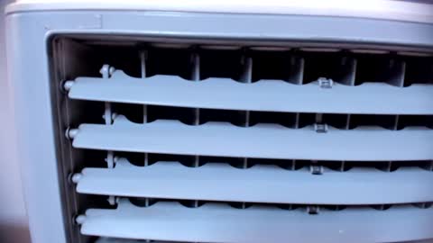 ashlybenison online show from January 2025 07:38:02 AM