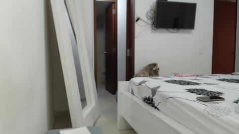 AshlyMoon online show from February 2025 09:37:01 PM