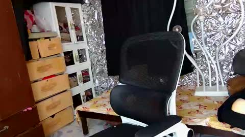 Trish online show from December 2025 11:08:02 AM