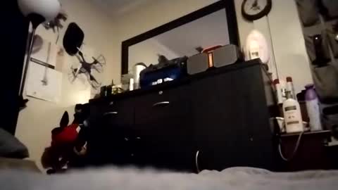 askme2shou online show from November 2025 09:33:01 AM