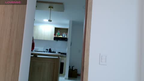 Snapshot of aslysande chatting on April 2026 04:24:02 AM aslysande online show from April 2026 04:24:02 AM