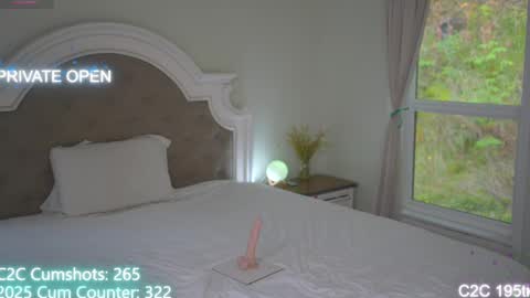 Aspen Wild online show from October 2025 03:31:02 PM