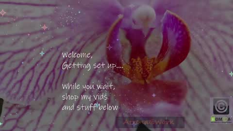 Atrena online show from April 2026 03:12:02 AM