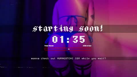 Snapshot of auragotchi chatting on June 2026 04:45:01 AM Aurora Aura online show from June 2026 04:45:01 AM