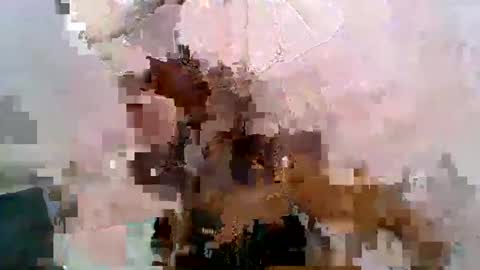 Snapshot of aurelia107 chatting on May 2026 03:08:01 PM aurelia107 online show from May 2026 03:08:01 PM
