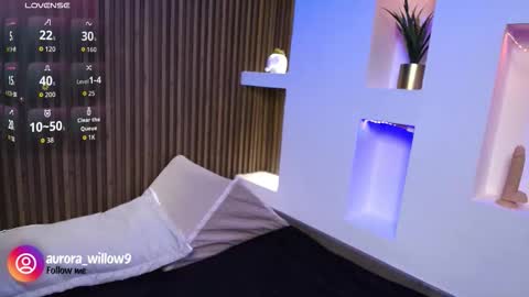 Snapshot of aurora_willow9 chatting on February 2026 06:57:02 PM aurora_willow9 online show from February 2026 06:57:02 PM