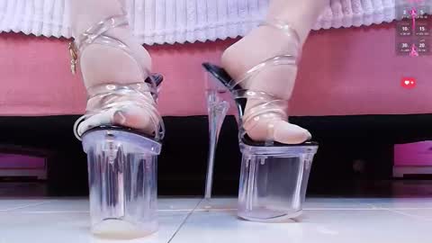 Aurora online show from December 2025 01:51:01 PM