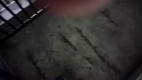 Snapshot of ausername1234517600 chatting on January 2025 05:43:02 AM Lex online show from January 2025 05:43:02 AM