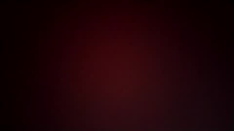 Snapshot of ausername1234517600 chatting on January 2025 10:50:01 PM Lex online show from January 2025 10:50:01 PM