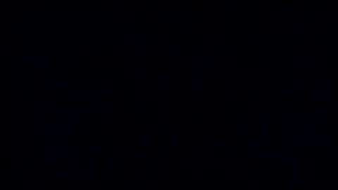 Snapshot of ausername1234517600 chatting on February 2025 10:11:01 PM Lex online show from February 2025 10:11:01 PM