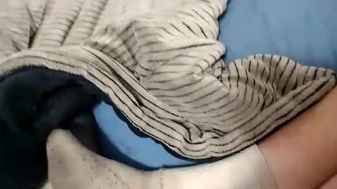 Snapshot of ausername1234517600 chatting on October 2025 04:24:01 AM Lex online show from October 2025 04:24:01 AM