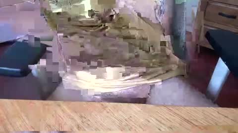 Rich online show from March 2025 05:07:02 AM