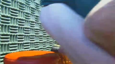 aussieraz online show from April 2026 07:29:01 AM