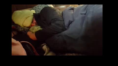 Snapshot of automaticmechanic chatting on December 2024 07:28:02 AM Senior Agua online show from December 2024 07:28:02 AM