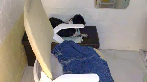 Rhian online show from September 2025 02:49:02 PM