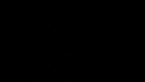 Ayden Miller online show from December 2024 01:49:01 PM