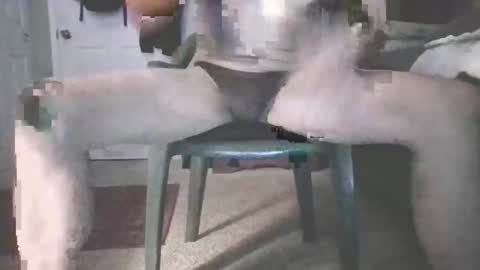 bjohnson420 online show from November 2025 08:42:01 AM