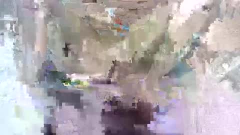 babymom1 online show from March 2025 08:33:02 PM