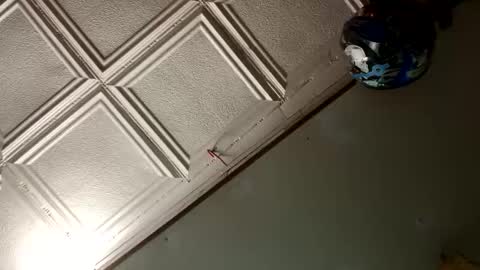 Snapshot of badnews68 chatting on January 2025 10:06:02 AM StillPoPimpin online show from January 2025 10:06:02 AM